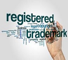 Intellectual Property Rights