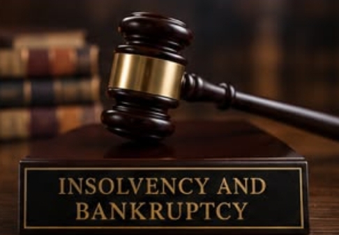 Insolvency & Bankruptcy